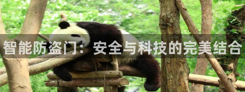 jdb试玩2000：智能防盗门：安全与科技的完美结合