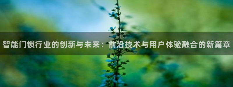 JDB电子游戏飞鸟派对：智能门锁行业的创新与未来：前沿技术与
