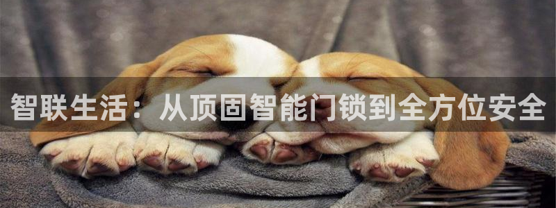 JDB电子游戏花开富贵怎么打：智联生活：从顶固智能门锁到全方