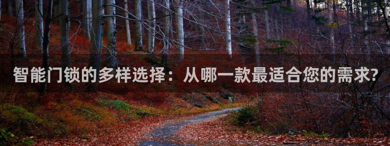 jdb电子爆率：智能门锁的多样选择：从哪一款最适合您的需求?