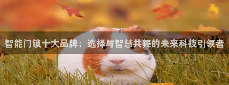 jdb电子夺宝游戏平台：智能门锁十大品牌：选择与智慧共舞的未