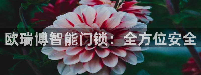 jdb游戏星期几放水：欧瑞博智能门锁：全方位安全