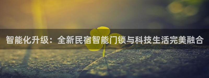 Jdb电子游戏试玩：智能化升级：全新民宿智能门锁与科技生活完
