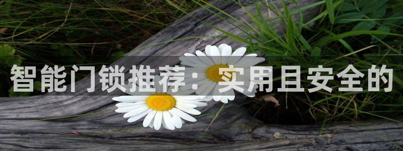 jdb电子app下载：智能门锁推荐：实用且安全的