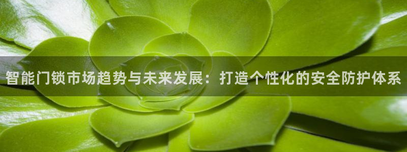 jdb电子超级大奖视频：智能门锁市场趋势与未来发展：打造个性