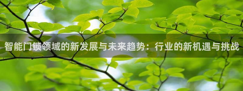 jdb电子平台地址大全：智能门锁领域的新发展与未来趋势：行业