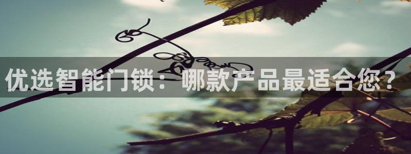 jdb电子平台网址大全：优选智能门锁：哪款产品最适合您？