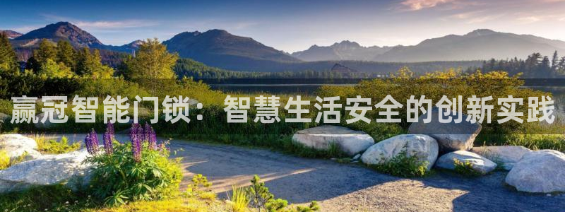jdb变脸1000倍：赢冠智能门锁：智慧生活安全的创新实践