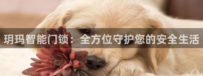 jdb电子放水规律：玥玛智能门锁：全方位守护您的安全生活