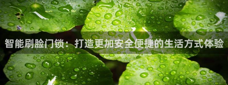 jdb电子台湾黑熊爆奖视频：智能刷脸门锁：打造更加安全便捷的