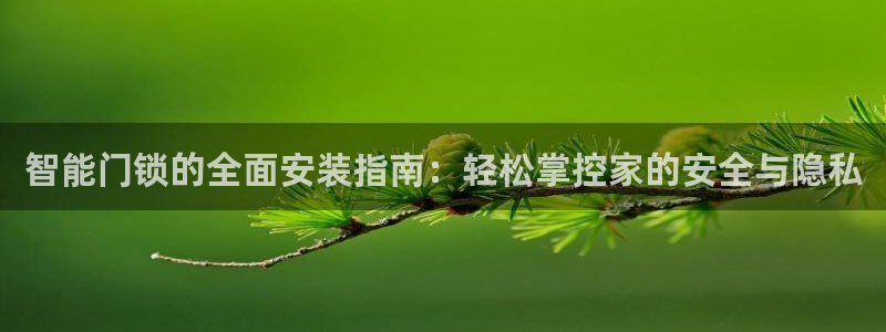 jdb集团：智能门锁的全面安装指南：轻松掌控家的安全与隐私