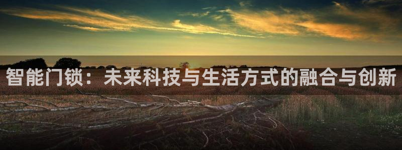jdb是什么平台：智能门锁：未来科技与生活方式的融合与创新
