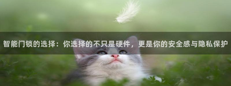 jdb电子官网：智能门锁的选择：你选择的不只是硬件，更是你的