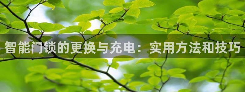 下载JDBC：智能门锁的更换与充电：实用方法和技巧