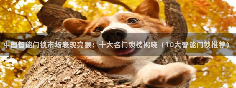 JDB电子维护：中国智能门锁市场表现亮眼：十大名门锁榜揭晓（