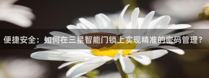 jdb电子平台什么好爆：便捷安全：如何在三星智能门锁上实现精
