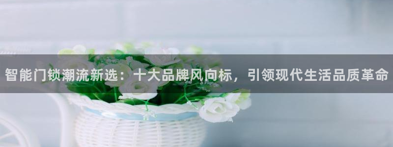 如何下载jdbc：智能门锁潮流新选：十大品牌风向标，引领现代