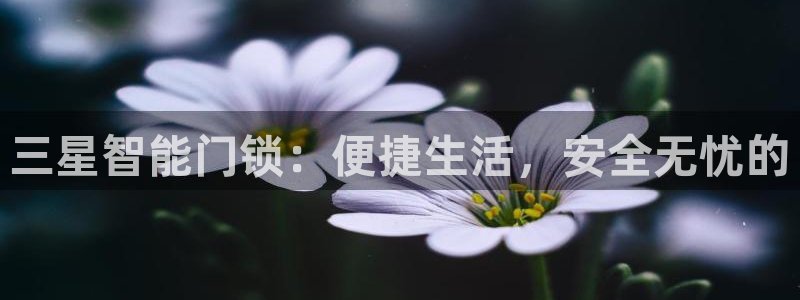 下载jdbc：三星智能门锁：便捷生活，安全无忧的