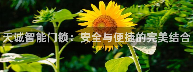 JDB电子游戏试玩：天诚智能门锁：安全与便捷的完美结合