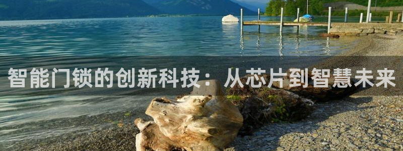 jdb五龙捕鱼瓒ly7 9。cn：智能门锁的创新科技：从芯片