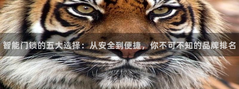 jdb富豪哥技巧：智能门锁的五大选择：从安全到便捷，你不可不