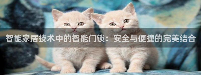 jdb夺宝游戏试玩：智能家居技术中的智能门锁：安全与便捷的完