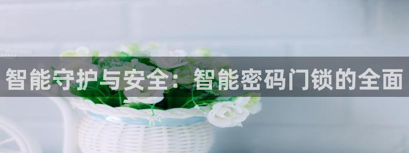 jdb电子游戏大奖：智能守护与安全：智能密码门锁的全面