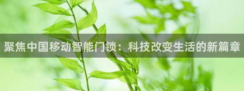 jdb电子安卓版客户端下载：聚焦中国移动智能门锁：科技改变生