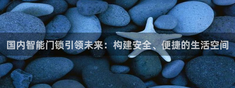 jdb电子什么游戏好玩：国内智能门锁引领未来：构建安全、便捷