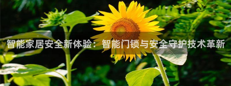 jdb电子网站：智能家居安全新体验：智能门锁与安全守护技术革