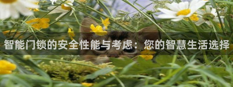 jdb富豪哥技巧：智能门锁的安全性能与考虑：您的智慧生活选择