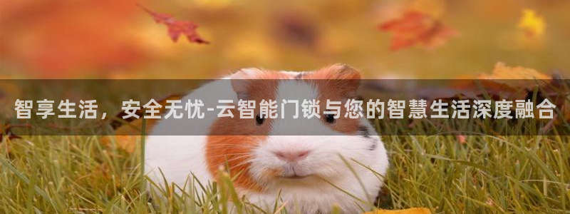 jdb电子爆奖视频开运夺宝：智享生活，安全无忧-云智能门锁与