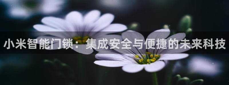 jdb试玩官网：小米智能门锁：集成安全与便捷的未来科技