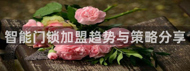 jdb电子官方试玩：智能门锁加盟趋势与策略分享