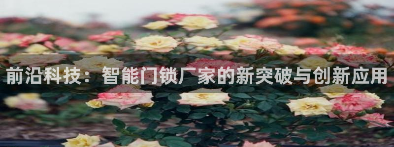 jdb什么游戏容易爆大奖：前沿科技：智能门锁厂家的新突破与创