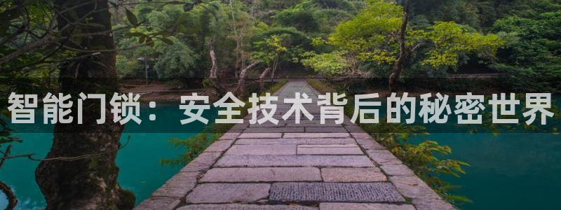 jdb电子平台地址大全：智能门锁：安全技术背后的秘密世界