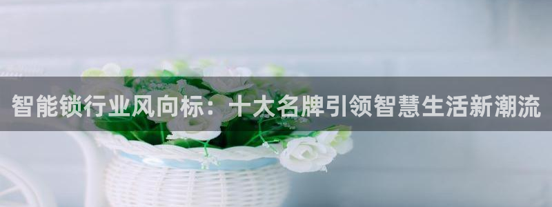 jdb电子官网下载：智能锁行业风向标：十大名牌引领智慧生活新
