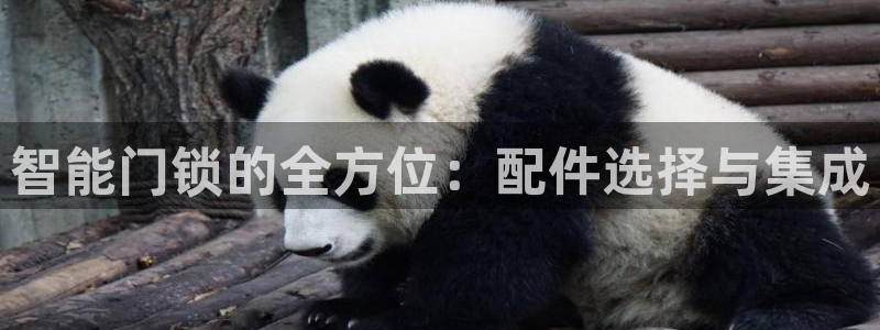 jdb电子变脸大奖截图：智能门锁的全方位：配件选择与集成
