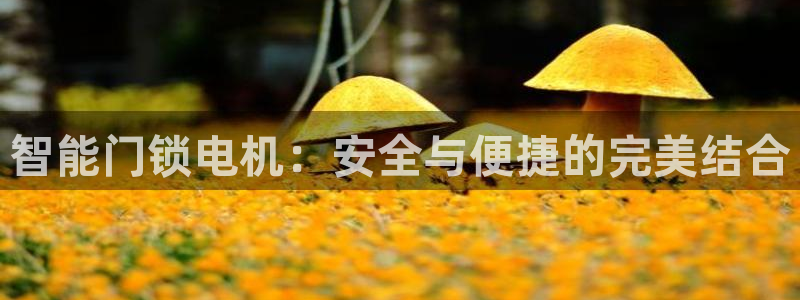 jdb免费游戏：智能门锁电机：安全与便捷的完美结合