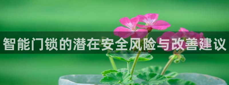jdb电子平台规律：智能门锁的潜在安全风险与改善建议
