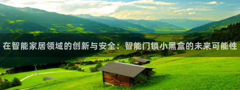 jdba1.3下载：在智能家居领域的创新与安全：智能门锁小黑