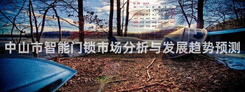 jdb电子游戏怎么玩：中山市智能门锁市场分析与发展趋势预测