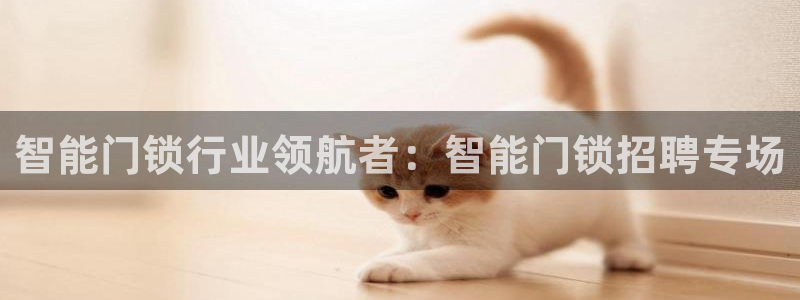 jdb电子 飞鸟派对：智能门锁行业领航者：智能门锁招聘专场