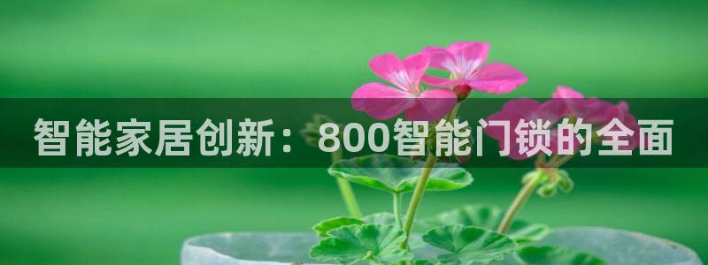 jdb电子试玩去哪：智能家居创新：800智能门锁的全面