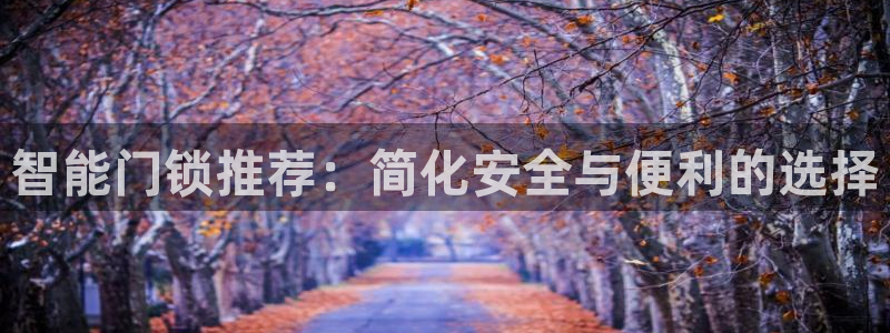 jdb电子官方入口：智能门锁推荐：简化安全与便利的选择