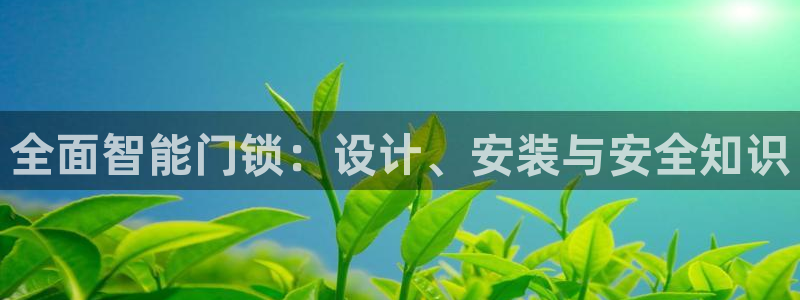 jdb电子爆率：全面智能门锁：设计、安装与安全知识