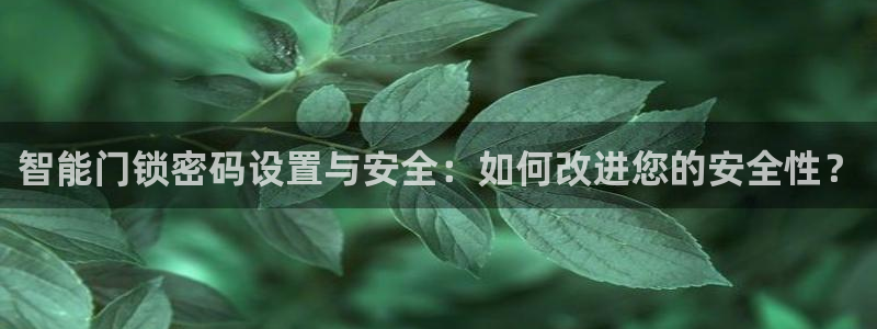 jdbc注册与登录：智能门锁密码设置与安全：如何改进您的安全