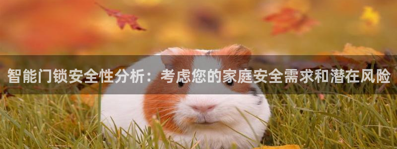 jdb电子大奖：智能门锁安全性分析：考虑您的家庭安全需求和潜