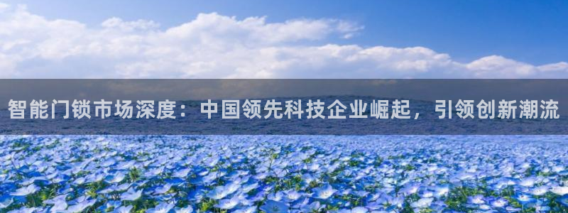 jdbc下载安装教程：智能门锁市场深度：中国领先科技企业崛起