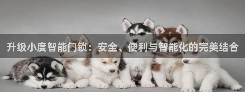 jdb电子马上有钱：升级小度智能门锁：安全、便利与智能化的完